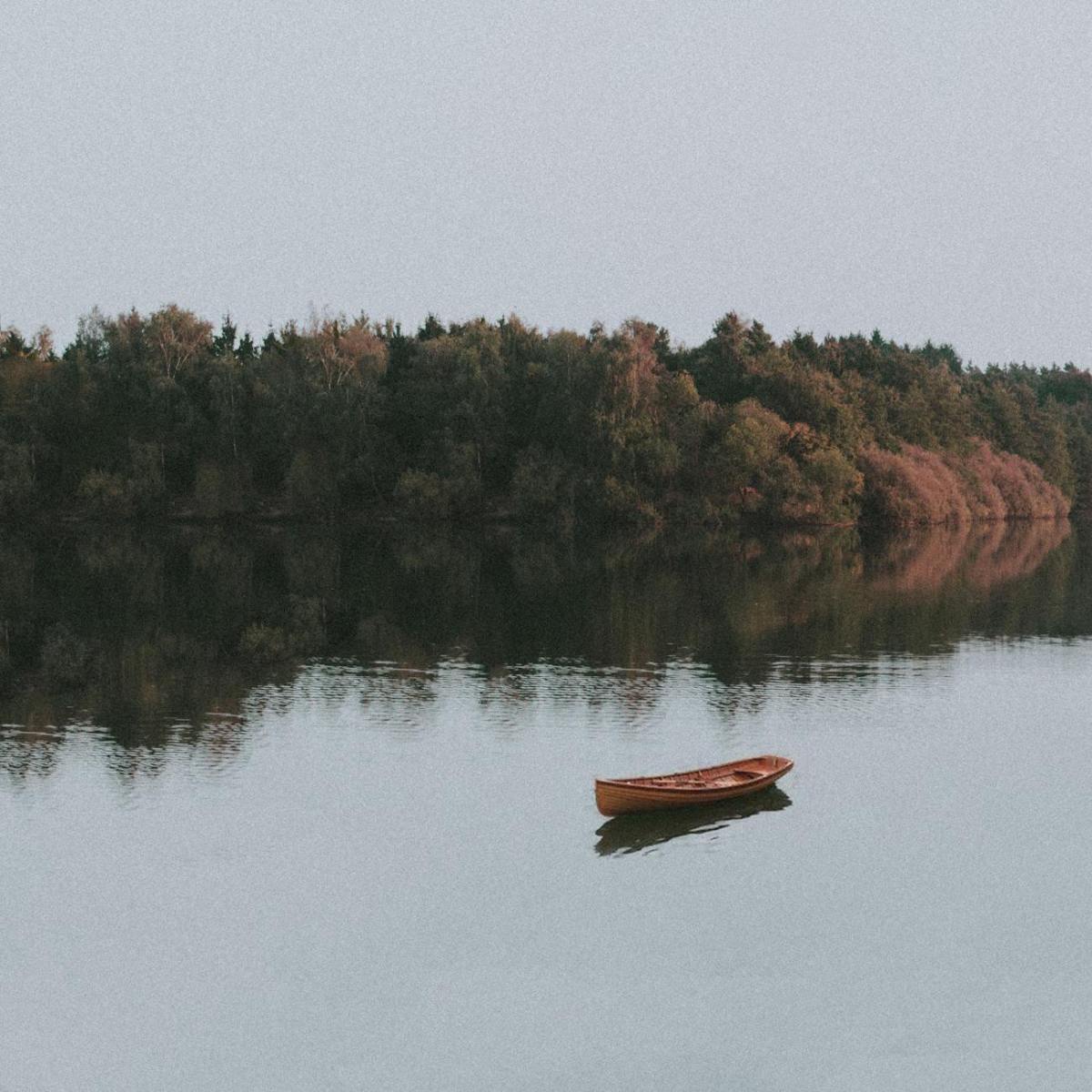 What Nature Teaches Us About&nbsp;Anxiety